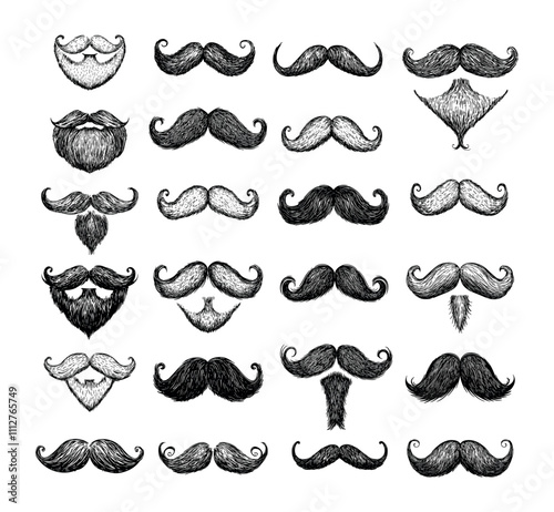 Engraving mustache. Men gentlemen or barbers and hipsters curls facial hair with beard, vintage retro shapes isolated vectors on white background