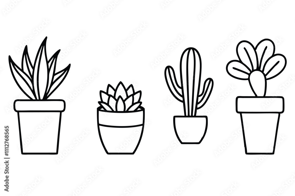 Plant and succulents potted ceramic line art vector illustration Plant and succulents potted ceramic line art vector illustration