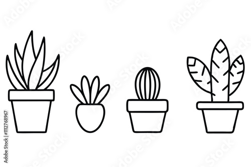 Plant and succulents, potted ceramic line art vector illustration photo