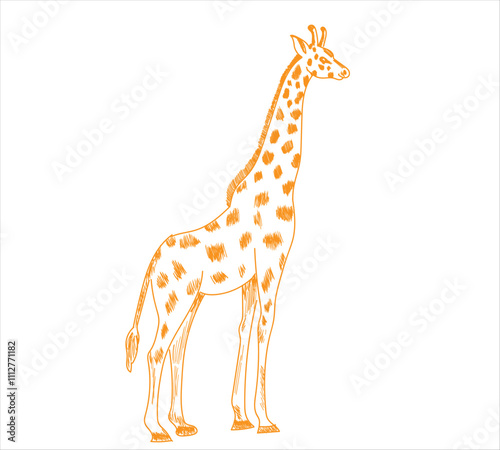 Hand drawing animal vector illustration. Animal illustrations sketch