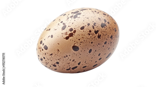 Egg transparent background