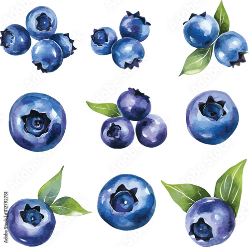 set of blueberries isolated, vector collection of blueberries, juicy fruit