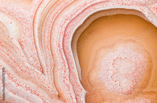 Macrophotograph of Laguna Agate's Intricate Structural Detail
