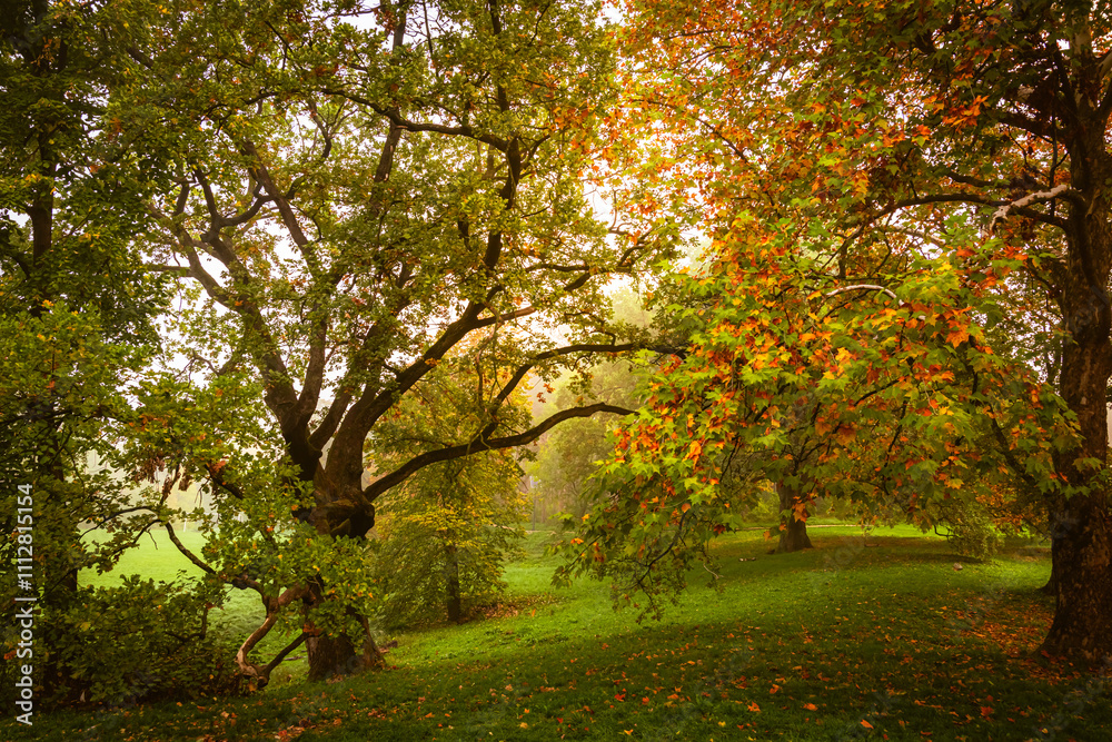 Autumn morning in the park, Serbia, the rays of the rising sun penetrate trees Autumn morning in the park, Serbia, the rays of the rising sun penetrate trees