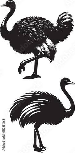 silhouette of clean vector of ostrich isolated photo