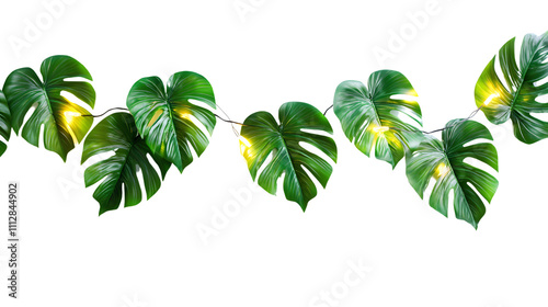 string of LED lights in the shape of tropical leaves, isolated on a seamless white background photo