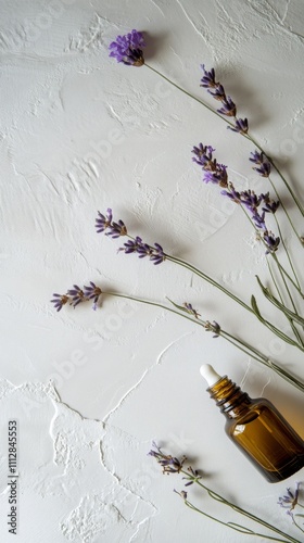 Lavender essential oil bottle placed among fresh lavender flowers on a white ...