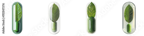 Wallpaper Mural Green leaf inside the capsule isolated on transparent background, Set of Torontodigital.ca
