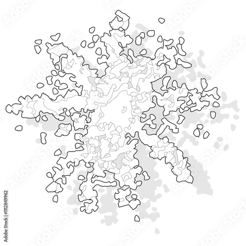 Vector tree top view. Ideal for landscape plans, architectural layout drawings, and as elements for environmental and garden designs.