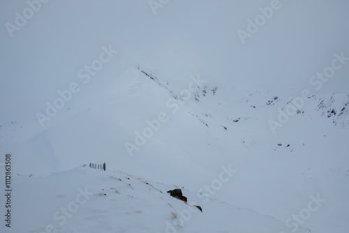 snowstorm in the mountains