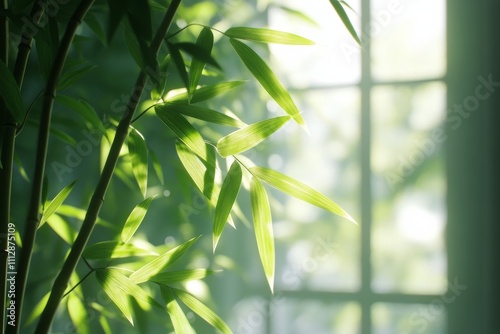 Sunlight filtering through bamboo leaves beside a window in a serene indoor s...