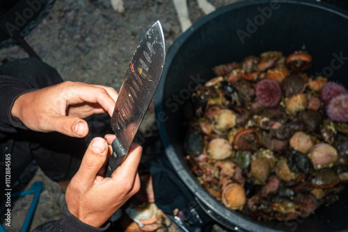 Seafood Harvest Knife