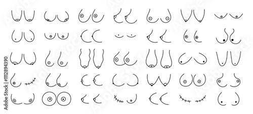 Woman breast. Doodle women body parts. Sketch simple different types, size, forms breasts. Female health and disease. Hand drawn feminine anatomy vector line icons