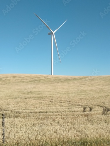 ventiladores eólicos en plena naturaleza entre campos de trigo y carreteras photo