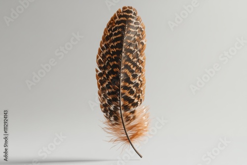 Detailed close-up of a striking feather showcasing intricate patterns and textures on a light background