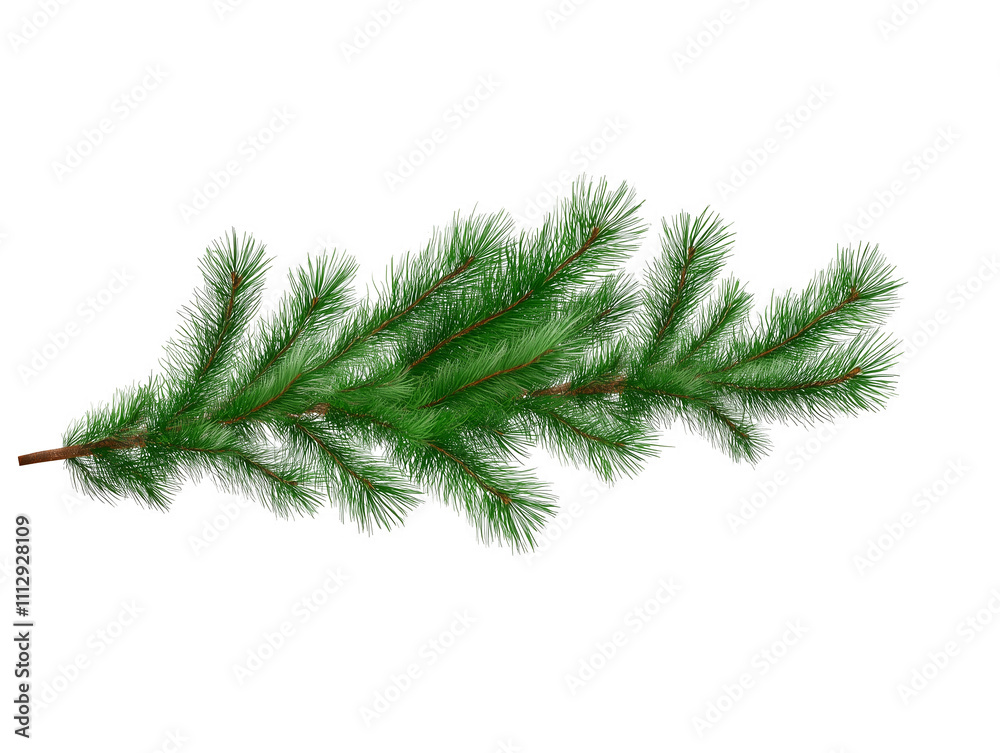 new year, png, christmas, winter, pine branch on transparent background new year, png, christmas, winter, pine branch on transparent background