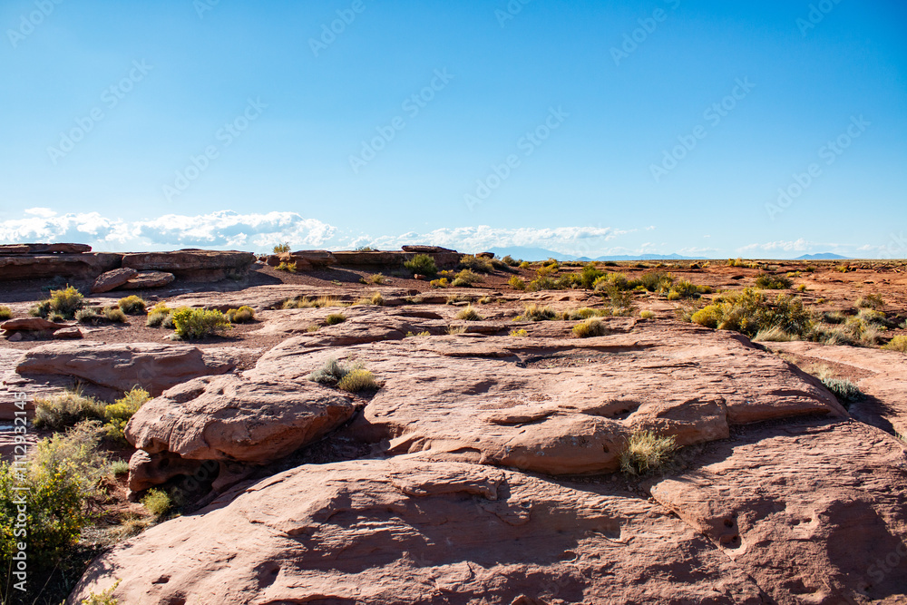 Obraz premium A wide desert landscape featuring red rock formations and scattered desert vegetation under a clear blue sky