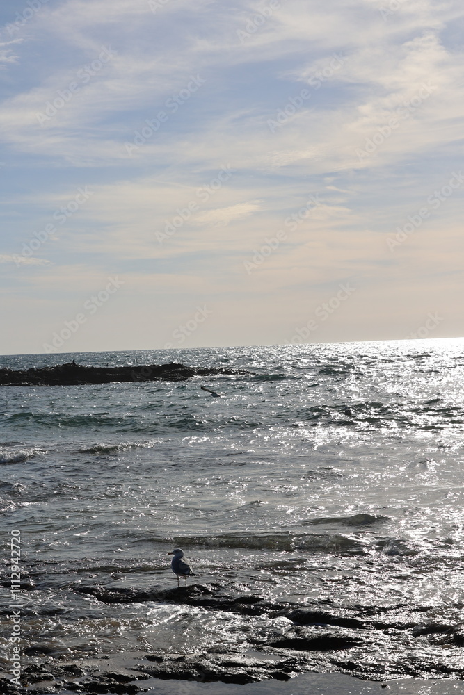 Aves, playa Aves, playa