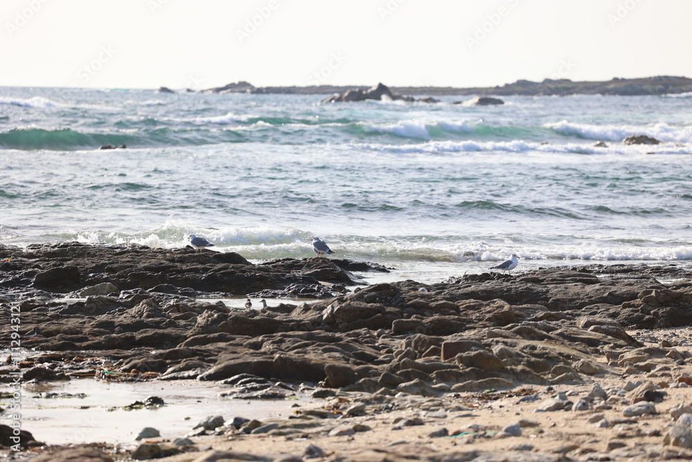 Naklejka premium Paisajes, animales