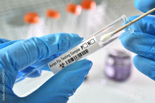 A testing swab sample for avian flu aka bird flu test photo