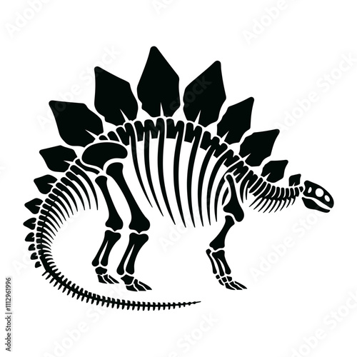 Stegosaurus Skeleton