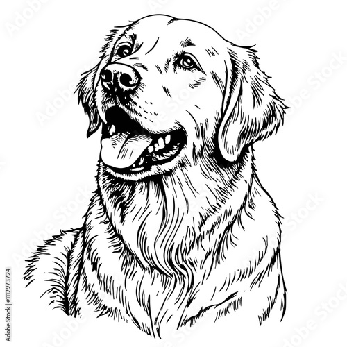 Happy Golden Retriever dog sketch portrait
