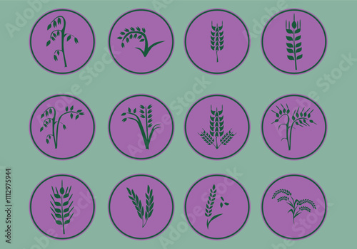 type of grain vector