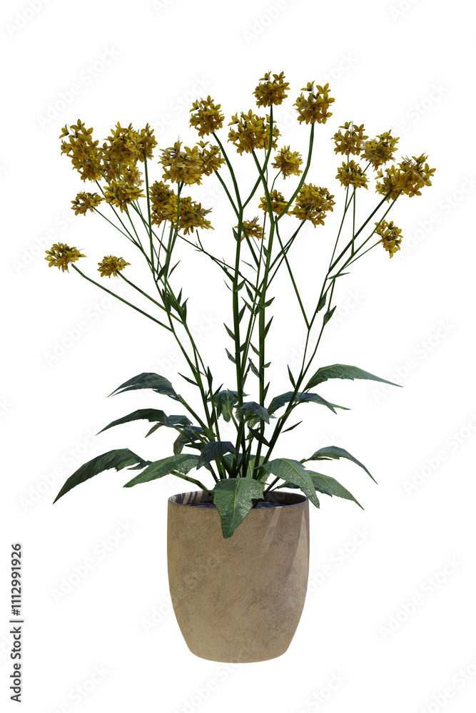 Obraz premium A potted plant with yellow flowers in it on a white background