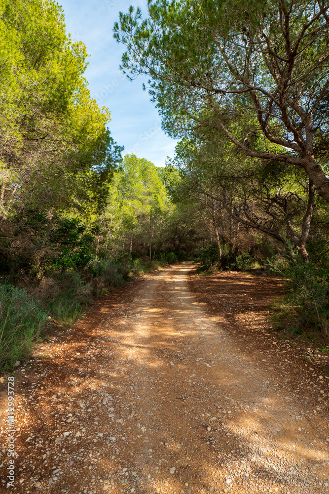 Wanderweg im Naturpark Serra d'Irta bei Alcossebre, Provinz Castellón, Autonome Gemeinschaft Valencia, Spanien Wanderweg im Naturpark Serra d'Irta bei Alcossebre, Provinz Castellón, Autonome Gemeinschaft Valencia, Spanien