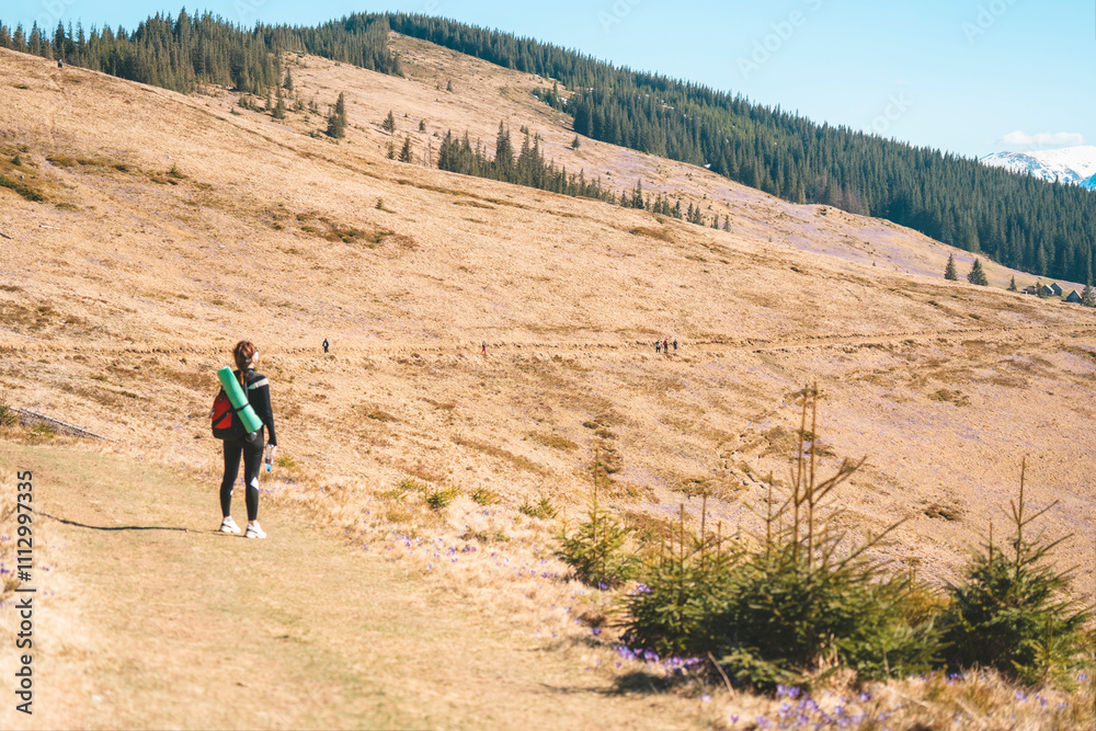 woman during a tourist trip to the mountains. a woman in the mountains woman during a tourist trip to the mountains. a woman in the mountains