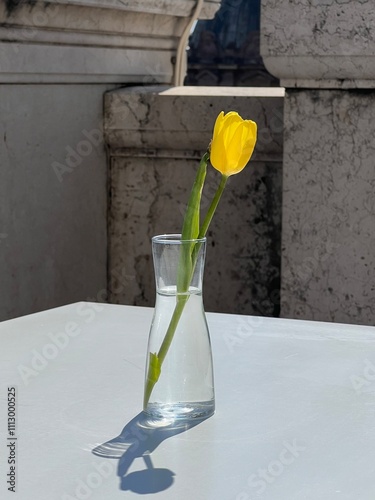 Yellow tulip in a vase.