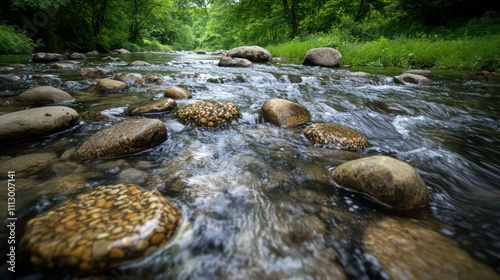 Crystal-clear river flowing over smooth stones in a lush green forest, viewed from a low perspective near the watera??s edge. photo