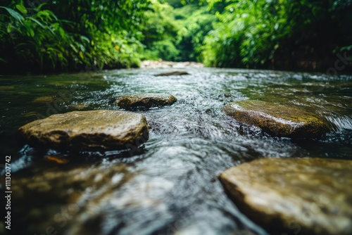 Crystal-clear river running over smooth stones, surrounded by dense greenery, viewed from ground level at a close angle. photo