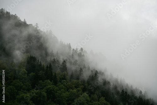 Clouds over mountain trees photo