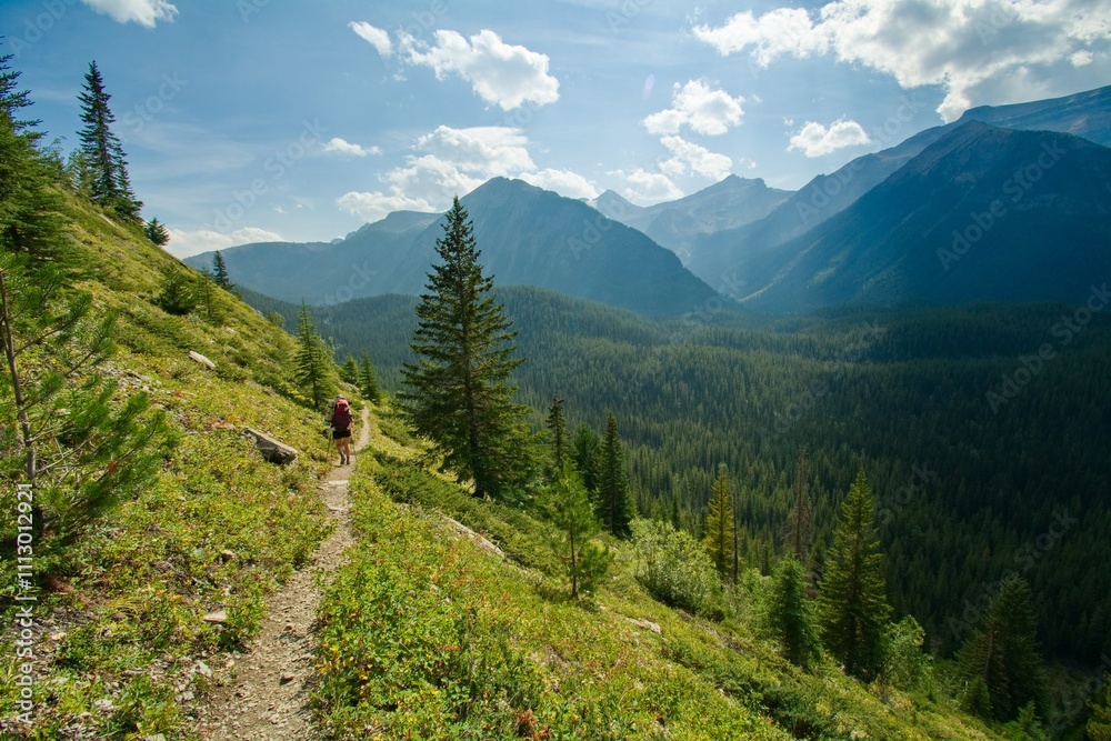 Fototapeta premium landscape in the mountains