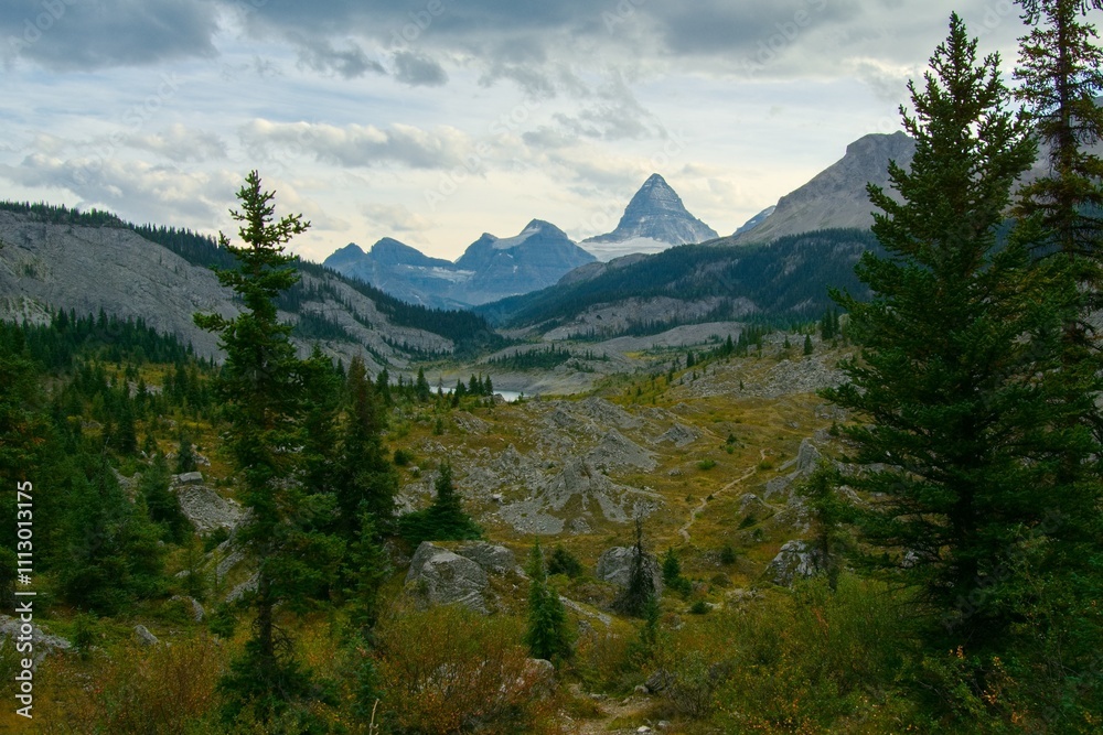view in the nature to the Assiniboinne view in the nature to the Assiniboinne