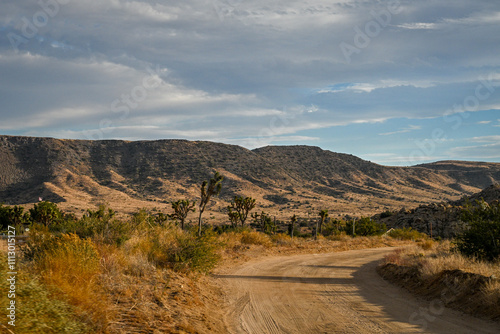 Discover the Beauty of Joshua Tree National Park Today