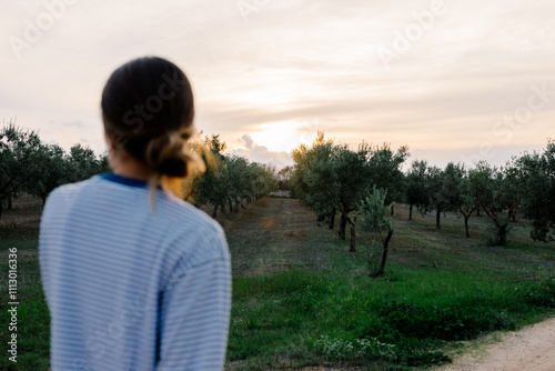 Vacationer admires the sunset behind an olive grove in Puglia, Italy