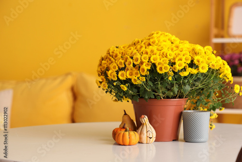 Wallpaper Mural Chrysanthemum flowers with pumpkins and candle on dining table in room, closeup Torontodigital.ca