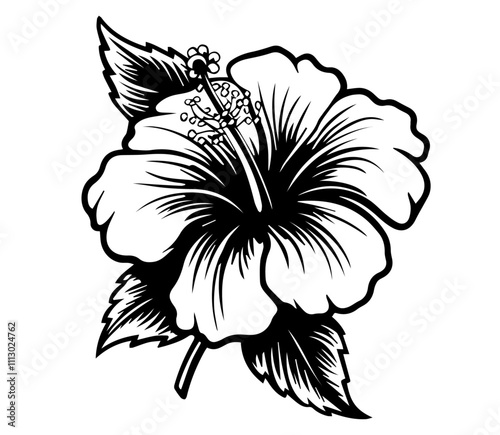 artistic black and white floral sketches featuring different flower arrangements