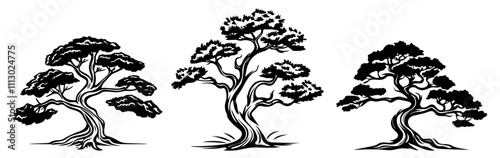 artistic sketch of different bonsai trees in black and white minimalist style