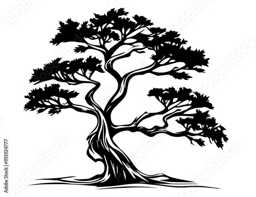 artistic sketch of different bonsai trees in black and white minimalist style