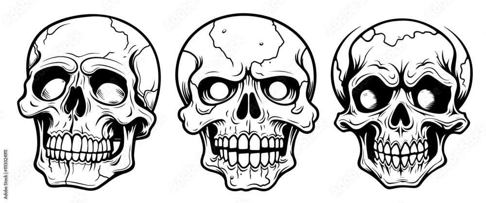 Fototapeta premium set of skull designs with intricate details in monochrome black vector art