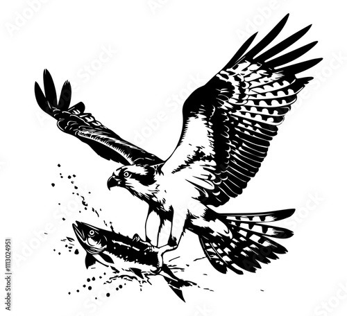 osprey catching fish in natural habitat hand-drawn black vector illustration