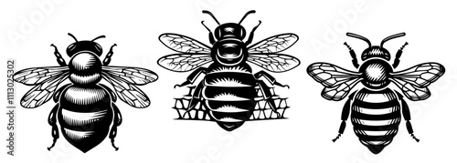 traditional beehive with bees in hand-drawn black vector illustration