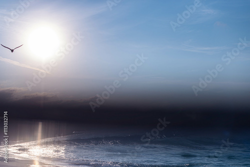 Ephemeral Florida Seascape photo