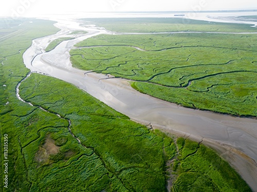 Aerial view of tidal channels and gullies, Saeftinge, The Netherlands photo