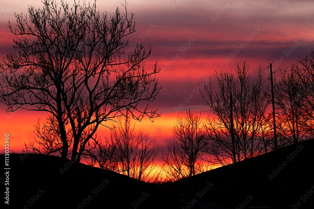 Landscape of mountain and tree at sunset in Switzerland. Landscape of mountain and tree at sunset in Switzerland.