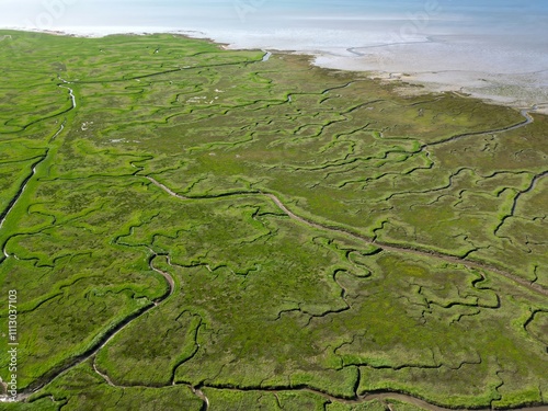 Aerial view of tidal channels and gullies, Saeftinge, The Netherlands photo