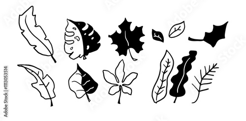 Leaves Hand-Drawn Set | Minimalist Doodle Vector for Botanical and Nature-Inspired Designs